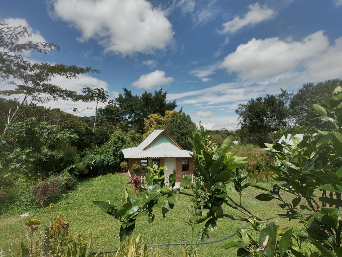 Tribu Ecohostal Los Santos  Buitenkant foto
