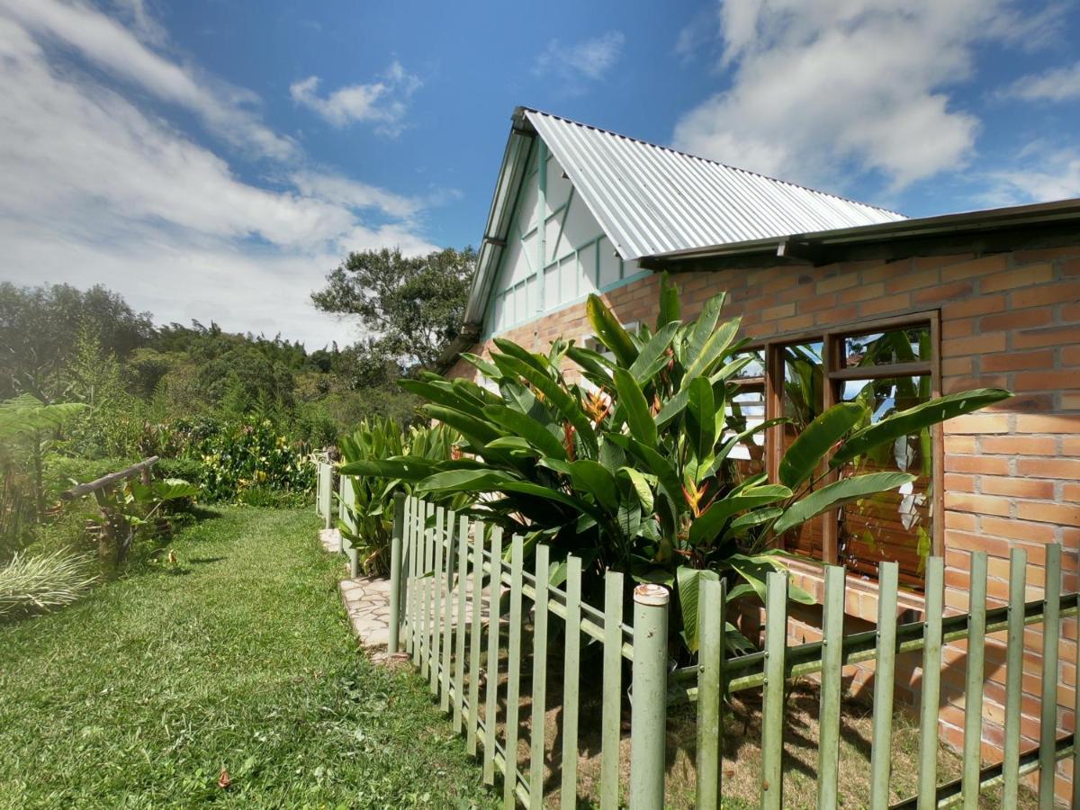 Tribu Ecohostal Los Santos  Buitenkant foto