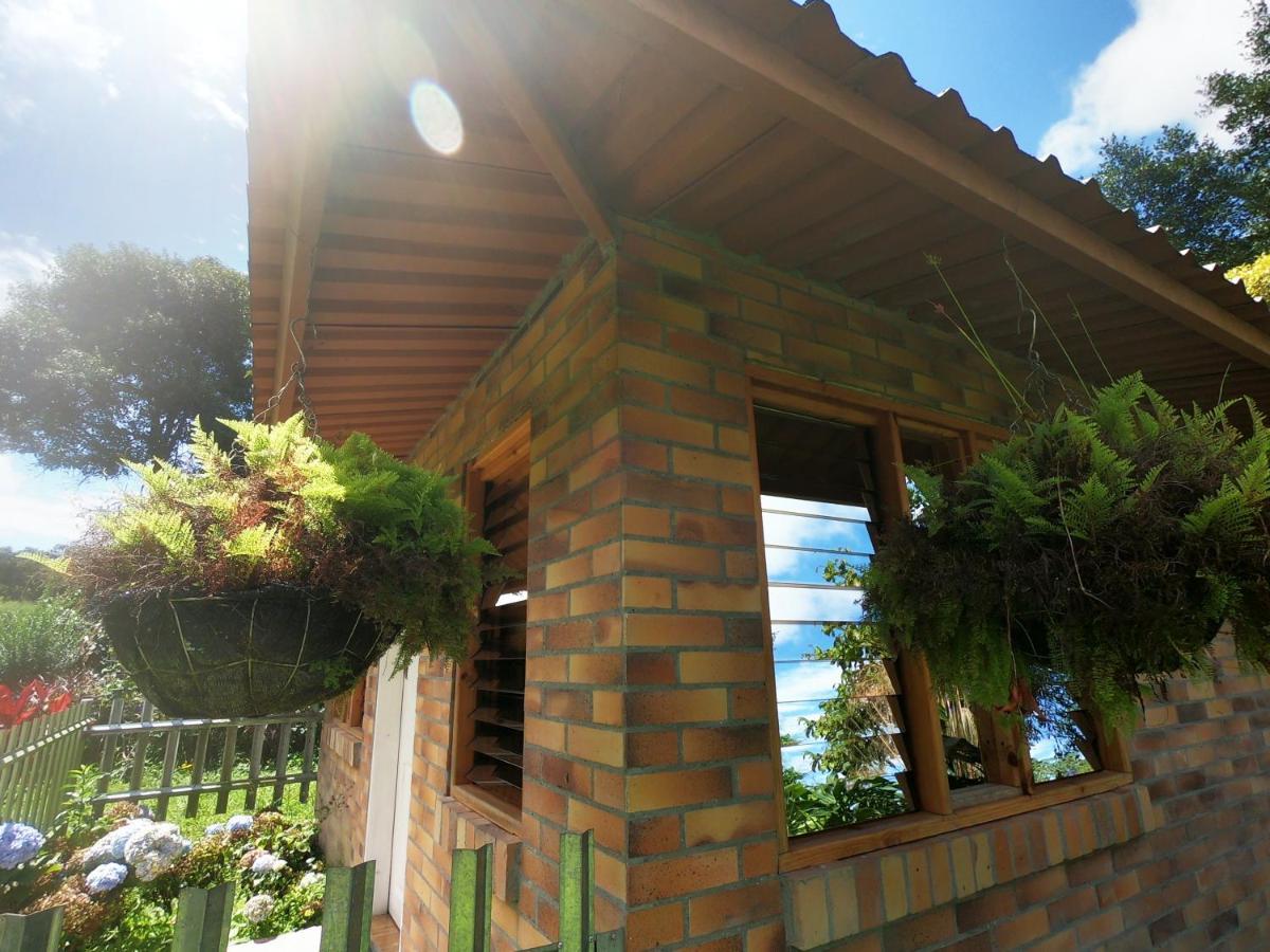 Tribu Ecohostal Los Santos  Buitenkant foto