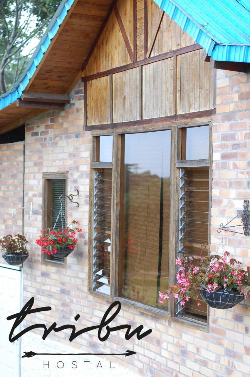 Tribu Ecohostal Los Santos  Buitenkant foto