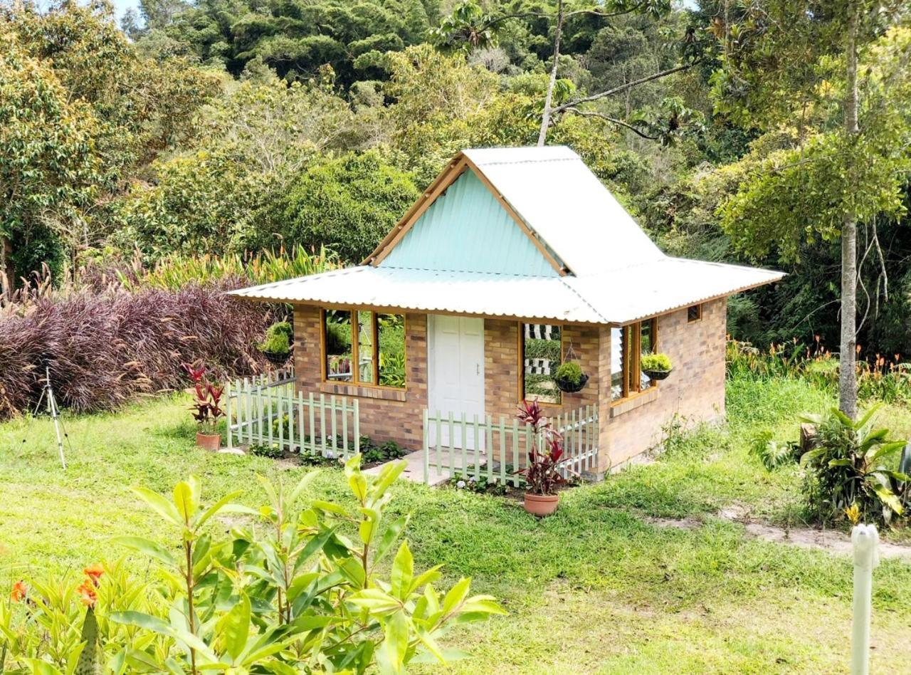 Tribu Ecohostal Los Santos  Buitenkant foto